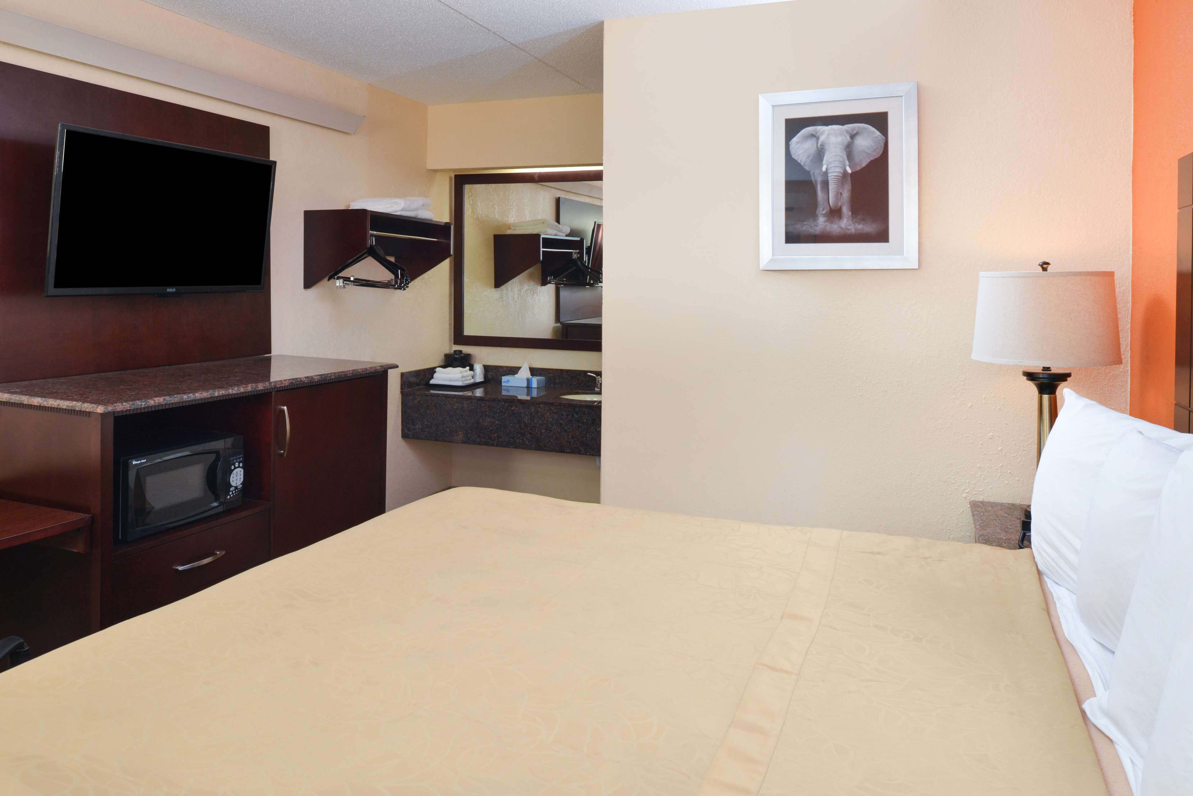 A hotel room with a bed, a flat-screen TV, a microwave, a vanity with a mirror, and a framed picture on the wall.