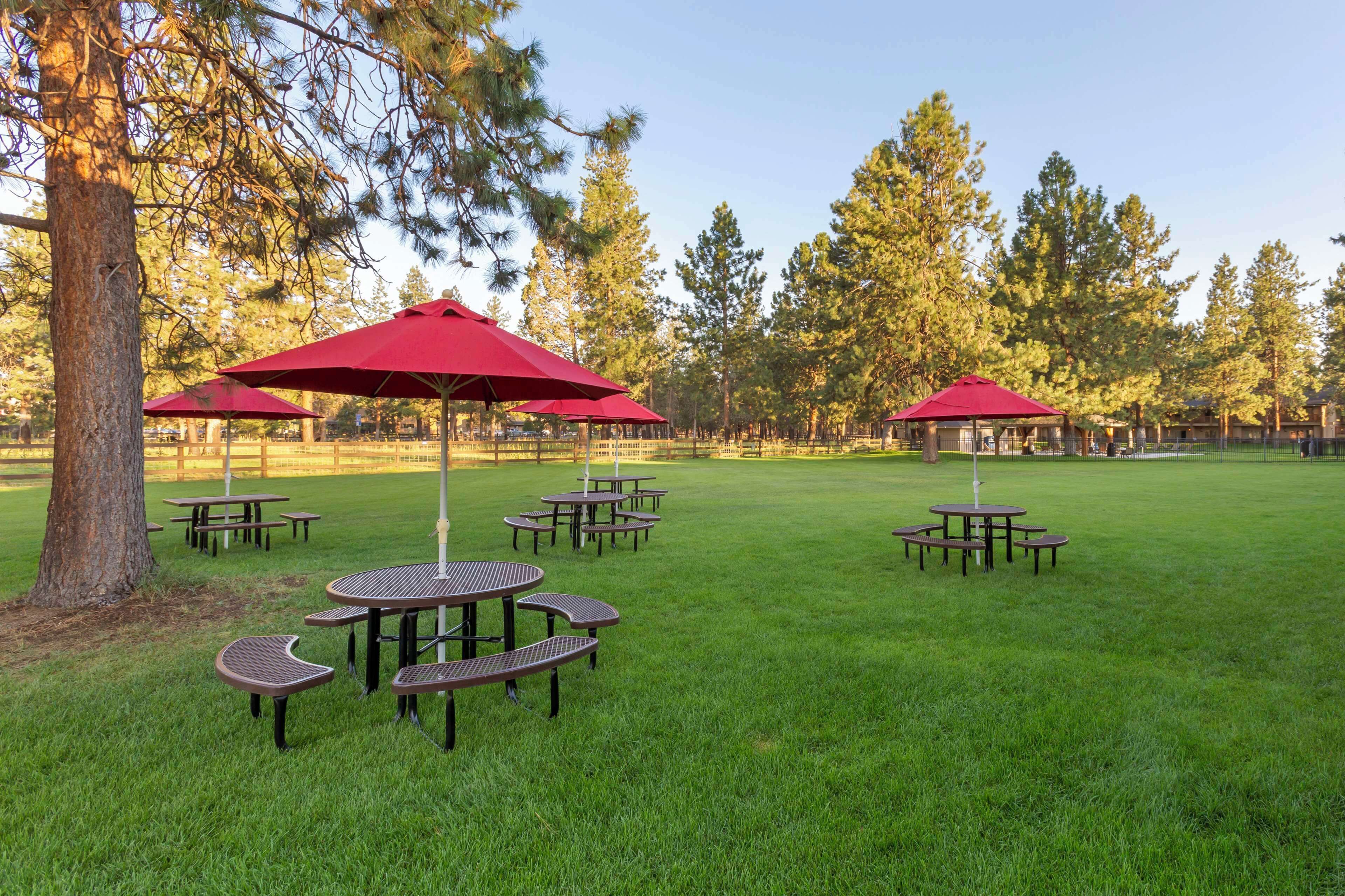 Un espace extérieur verdoyant avec des tables de pique-nique et des parasols rouges.