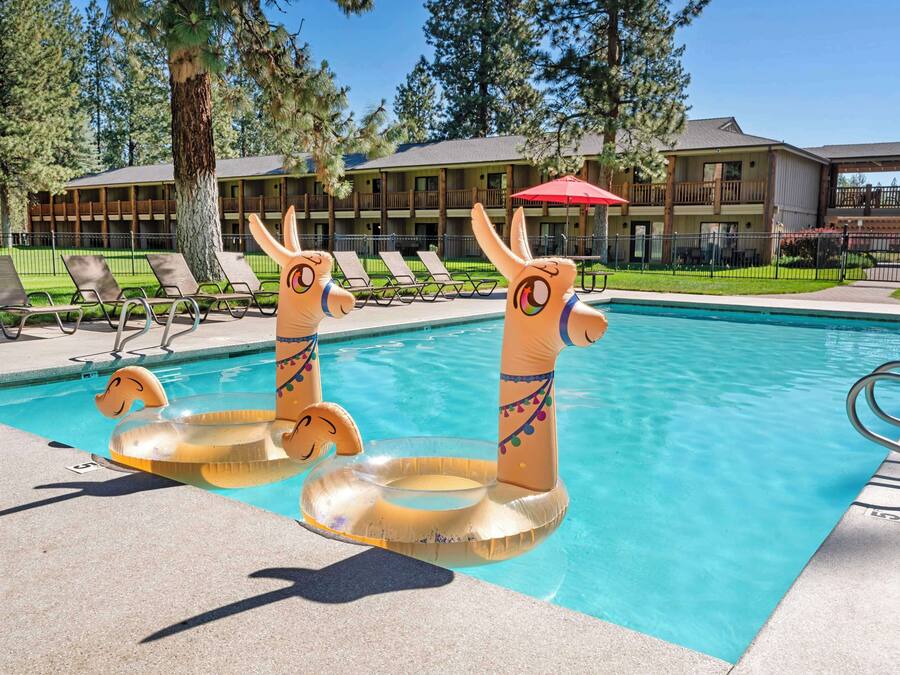 Piscina com boias de flamingos infláveis, espreguiçadeiras e um edifício com varandas ao fundo.