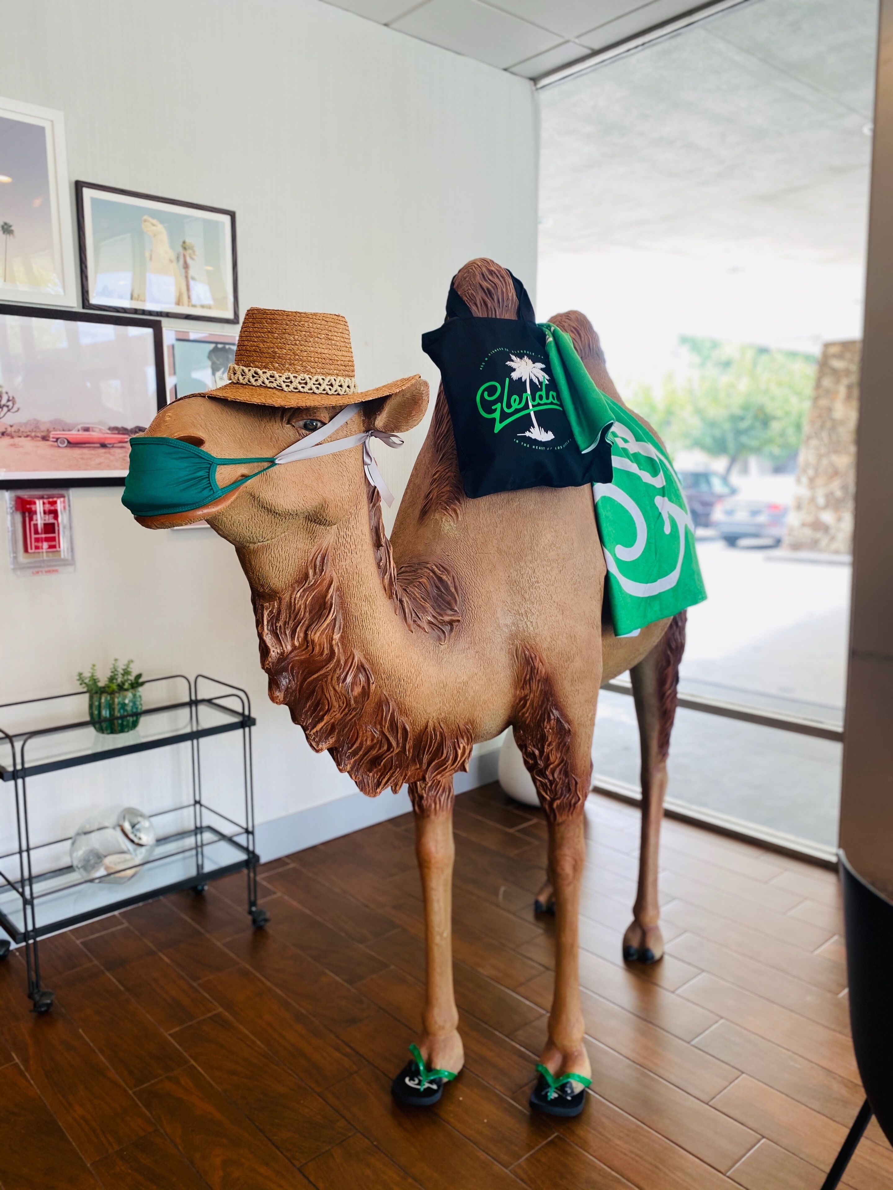 A camel statue in a room with a wooden floor, a metal shelf, and framed pictures on the wall.