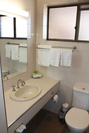 Combined shower/bathtub, free toiletries, hair dryer, towels