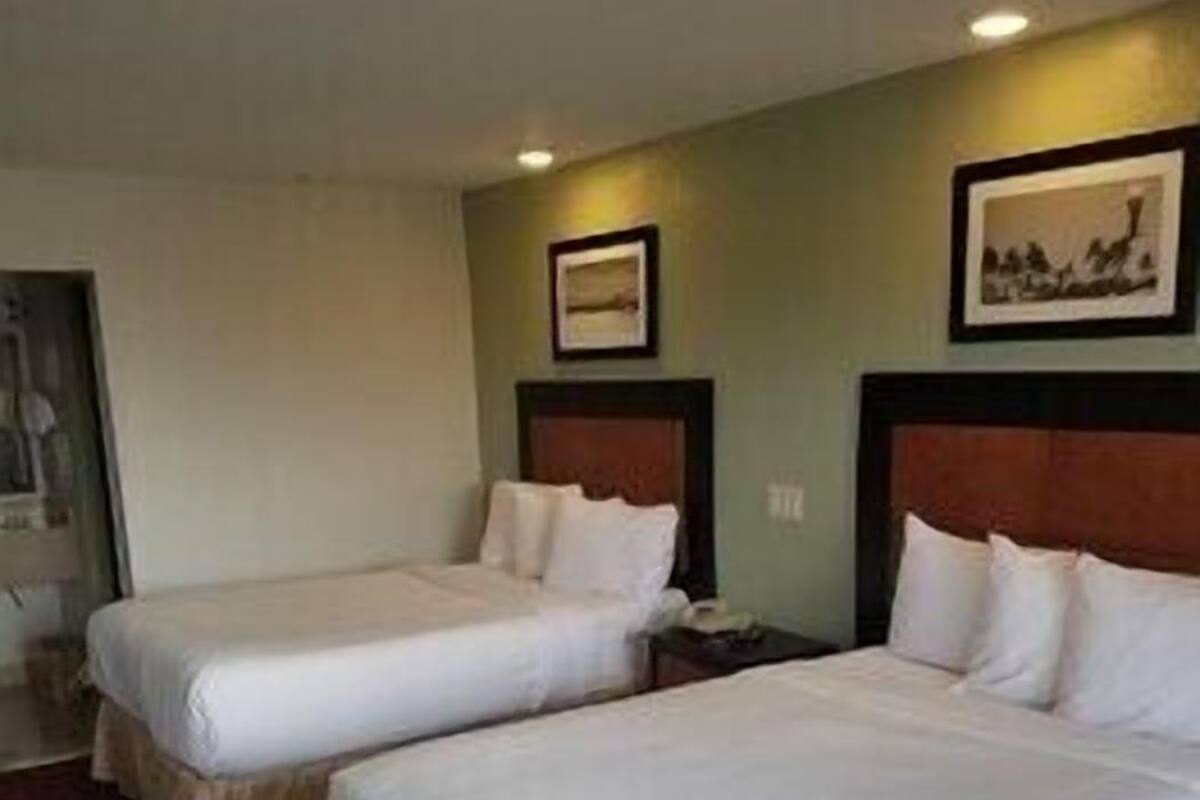 Ein Hotelzimmer mit zwei Betten, einem roten Teppich und einem gerahmten Bild an der Wand.