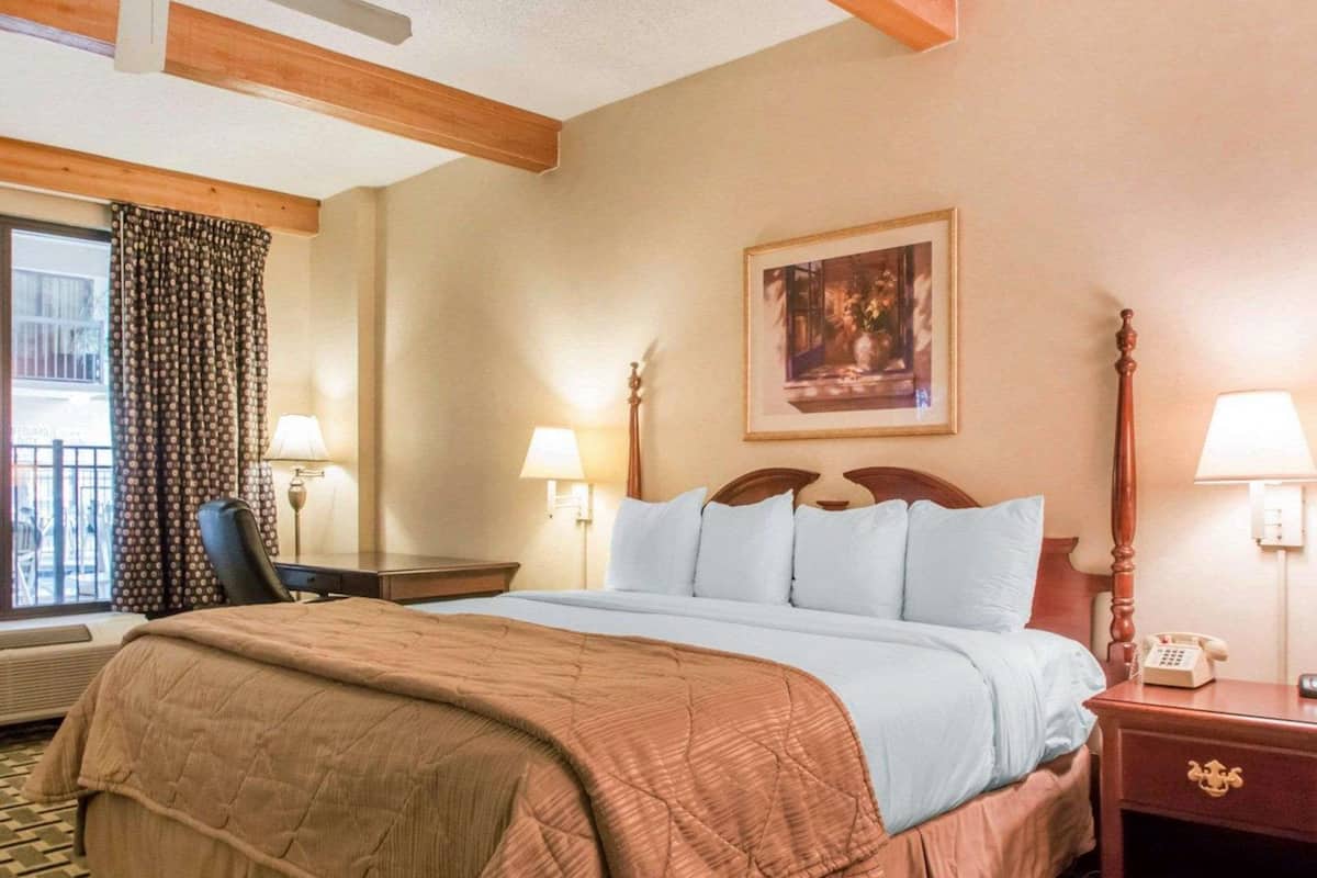 Suite, 1 trĂšs grand lit, non-fumeur
