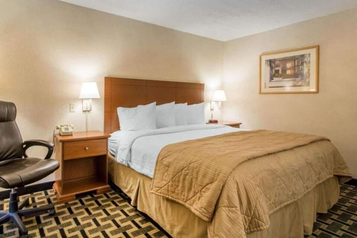 Sábanas de algodón egipcio y ropa de cama de alta calidad