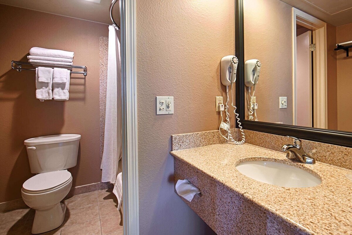 A bathroom with a toilet, a sink, a towel rack, and a hairdryer.