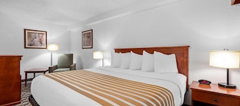 Best Western Vista Inn At The Airport