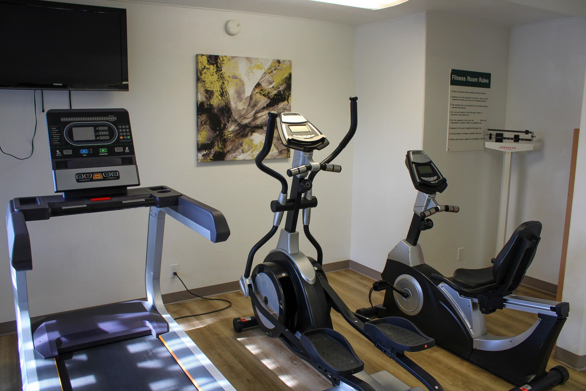 A fitness room with a treadmill, elliptical, and stationary bike, a television, and a painting on the wall.