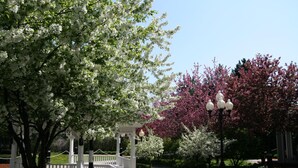 Un belvédère avec un banc, entouré d’arbres en fleurs et bordé d’un chemin pavé.