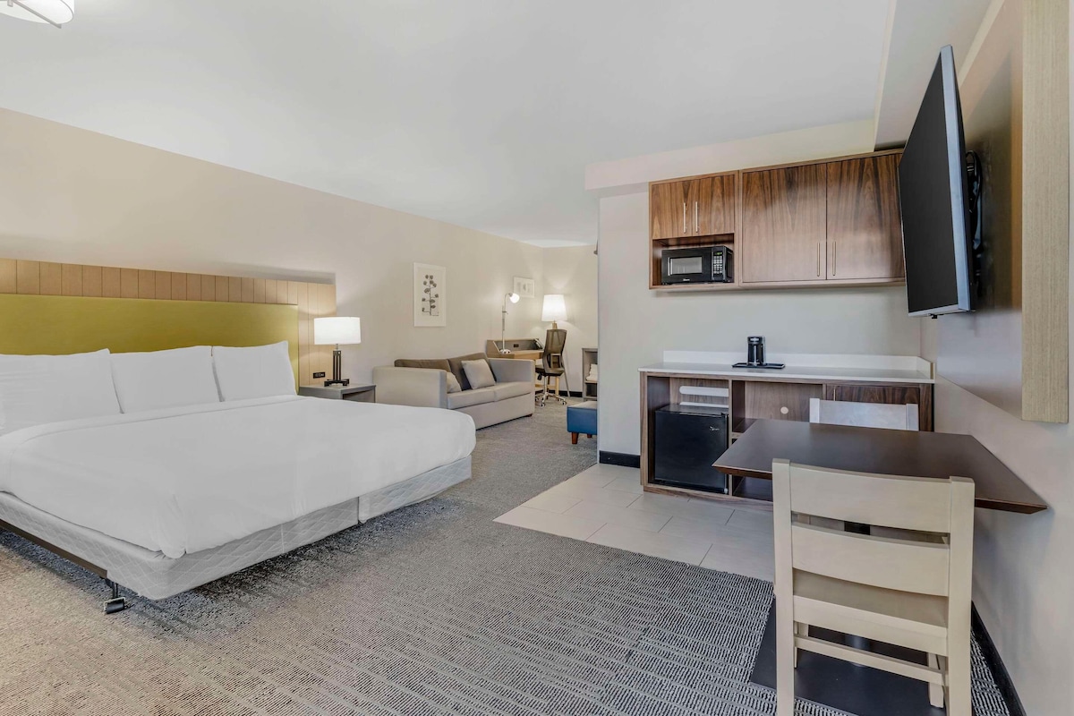 A hotel room with a large bed, a desk with a chair, a sofa, a microwave, and a TV.
