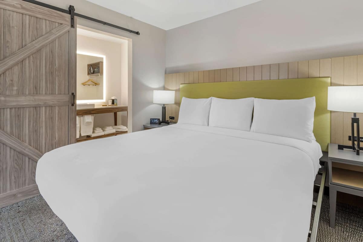 Suite, 1 Bedroom, Non Smoking | 1 bedroom, free WiFi, bed sheets