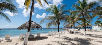 Holiday Beach Resort and Casino