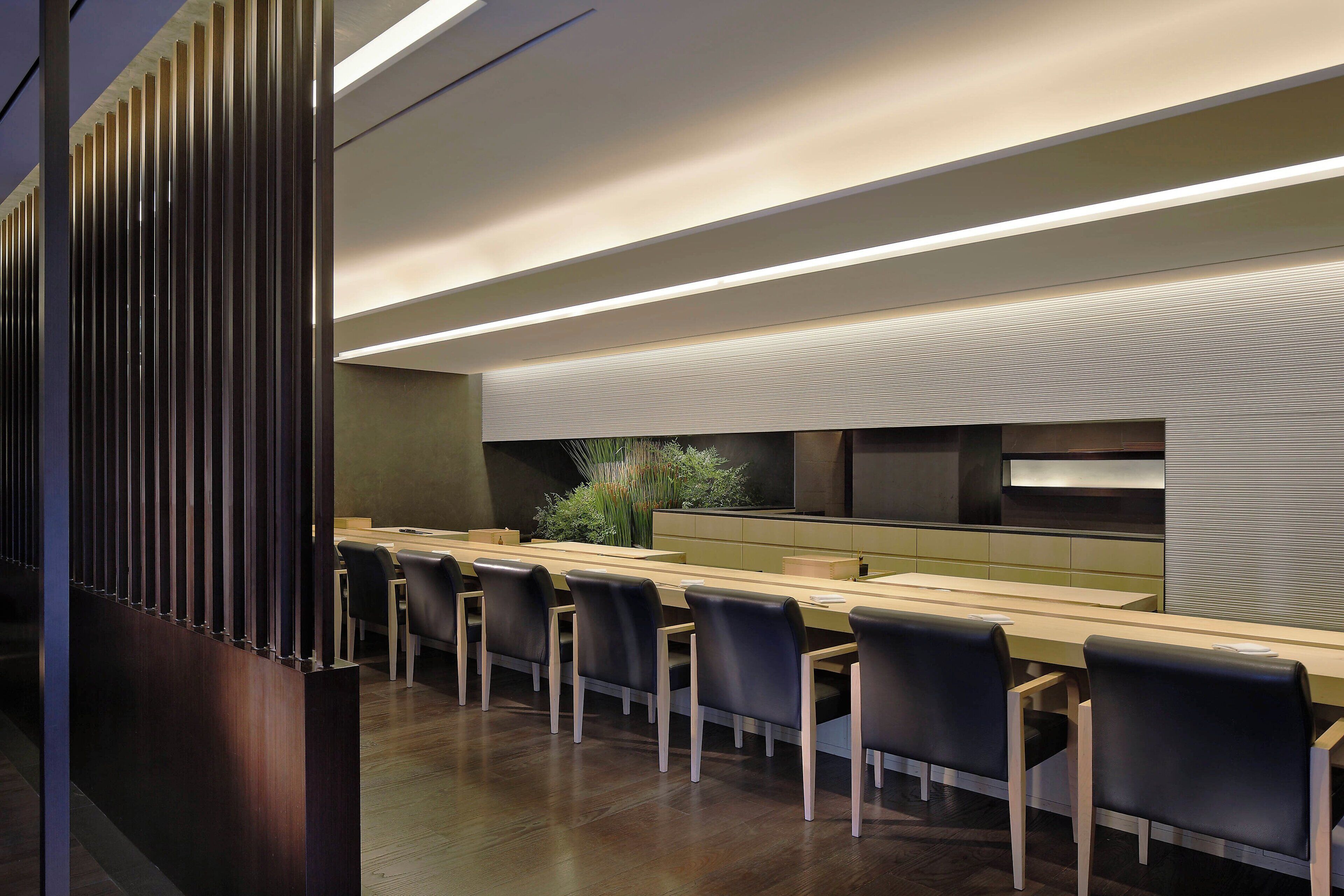 Un espace repas moderne avec une longue table, des chaises noires et une plante décorative.