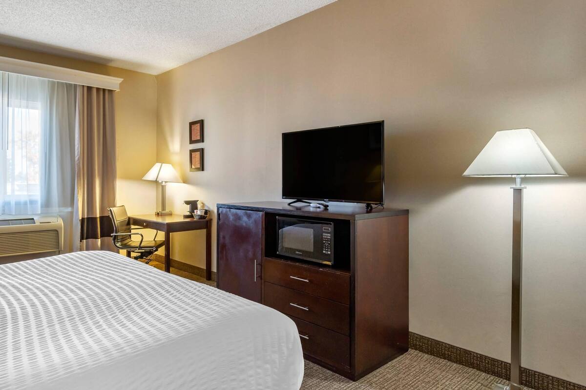 A hotel room with a bed, a desk, a television, a microwave, and a lamp.