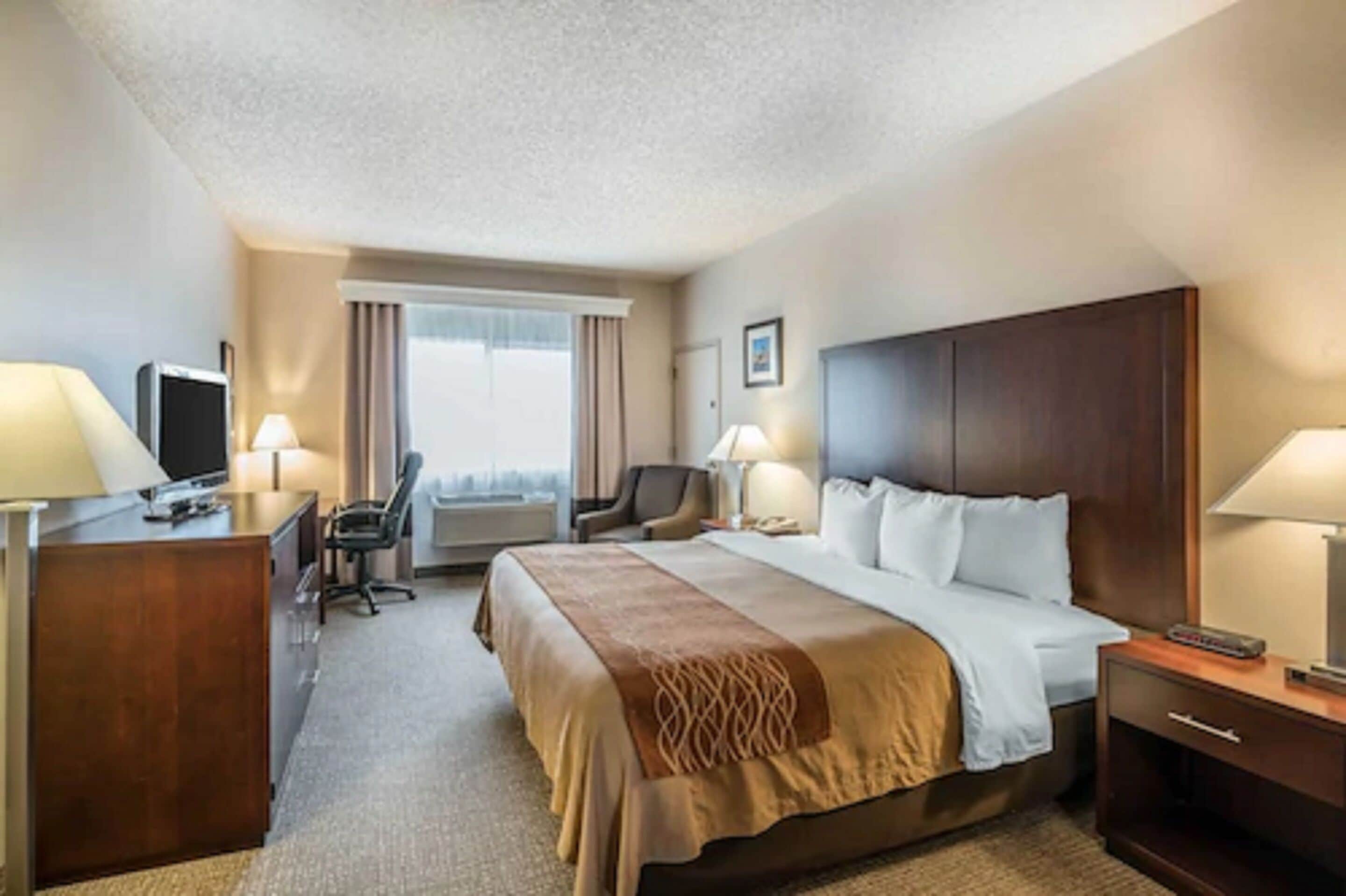 مكتب وستائر تعتيم ومكواة/لوح كي وأسرّة أطفال/رضّع (مجانًا)