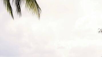 Una playa con sillones de descanso y sombrillas a rayas.