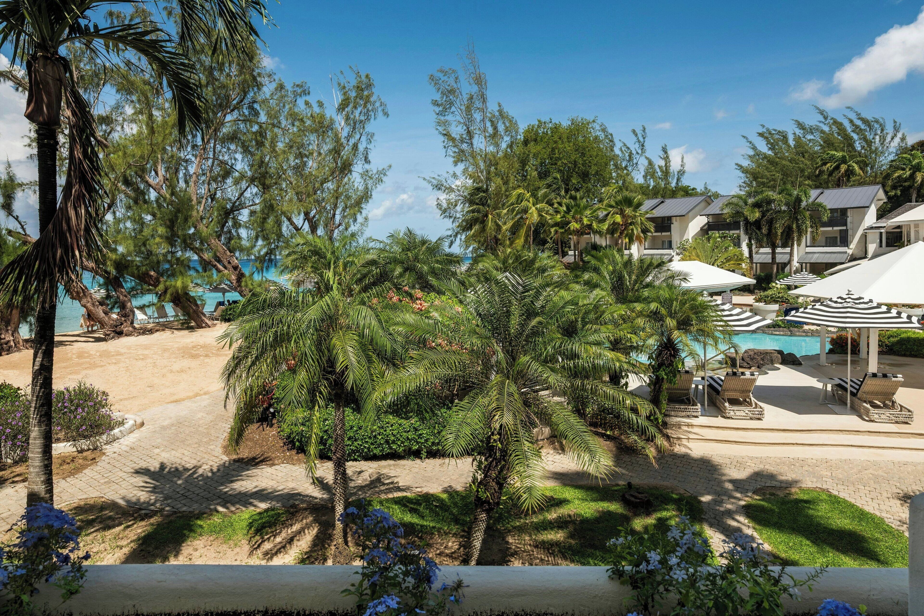 Un resort con zona de piscina, sillas de descanso y palmeras.