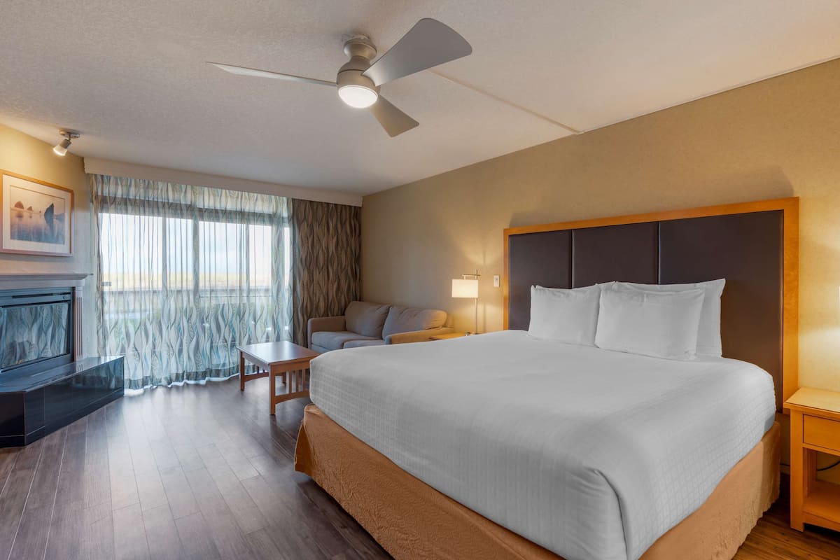 Standard Room, 1 King Bed, Non Smoking, Patio | In-room safe, blackout drapes, iron/ironing board