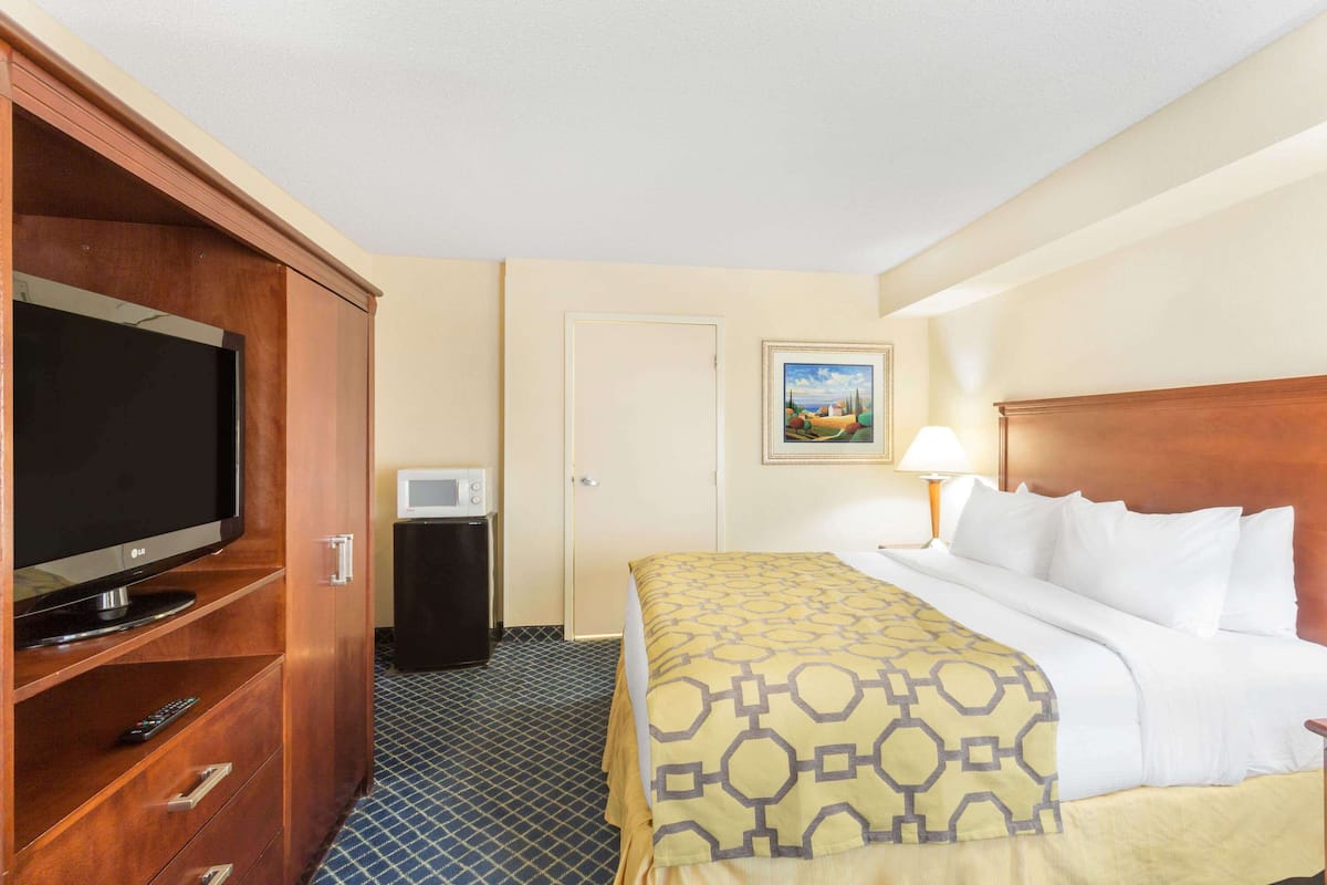 Room, 1 King Bed, Non Smoking