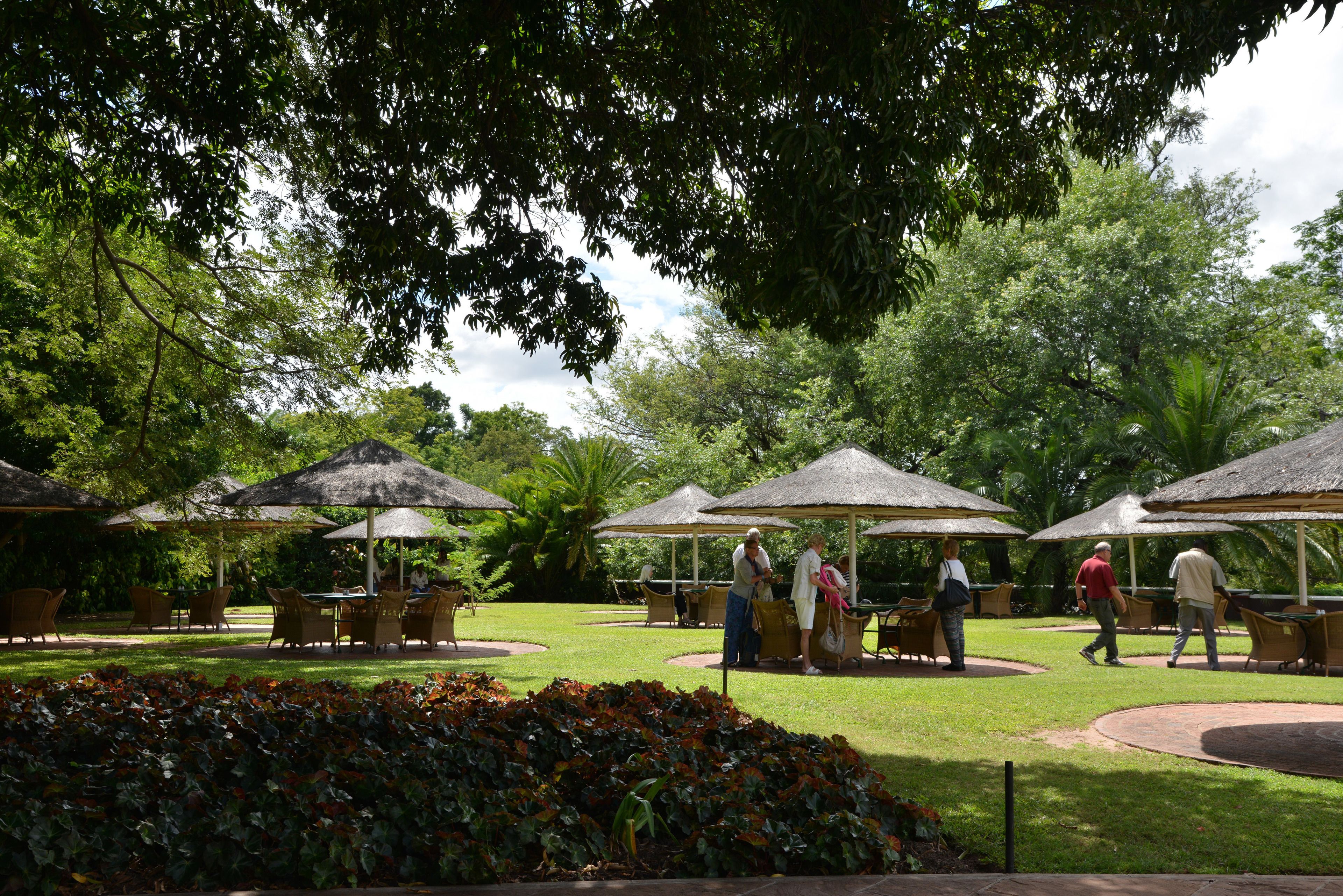 Un espace extérieur aménagé avec des parasols en chaume, entouré d’une végétation luxuriante et de palmiers.