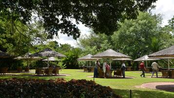 Un espace extérieur aménagé avec des parasols en chaume, entouré d’une végétation luxuriante et de palmiers.