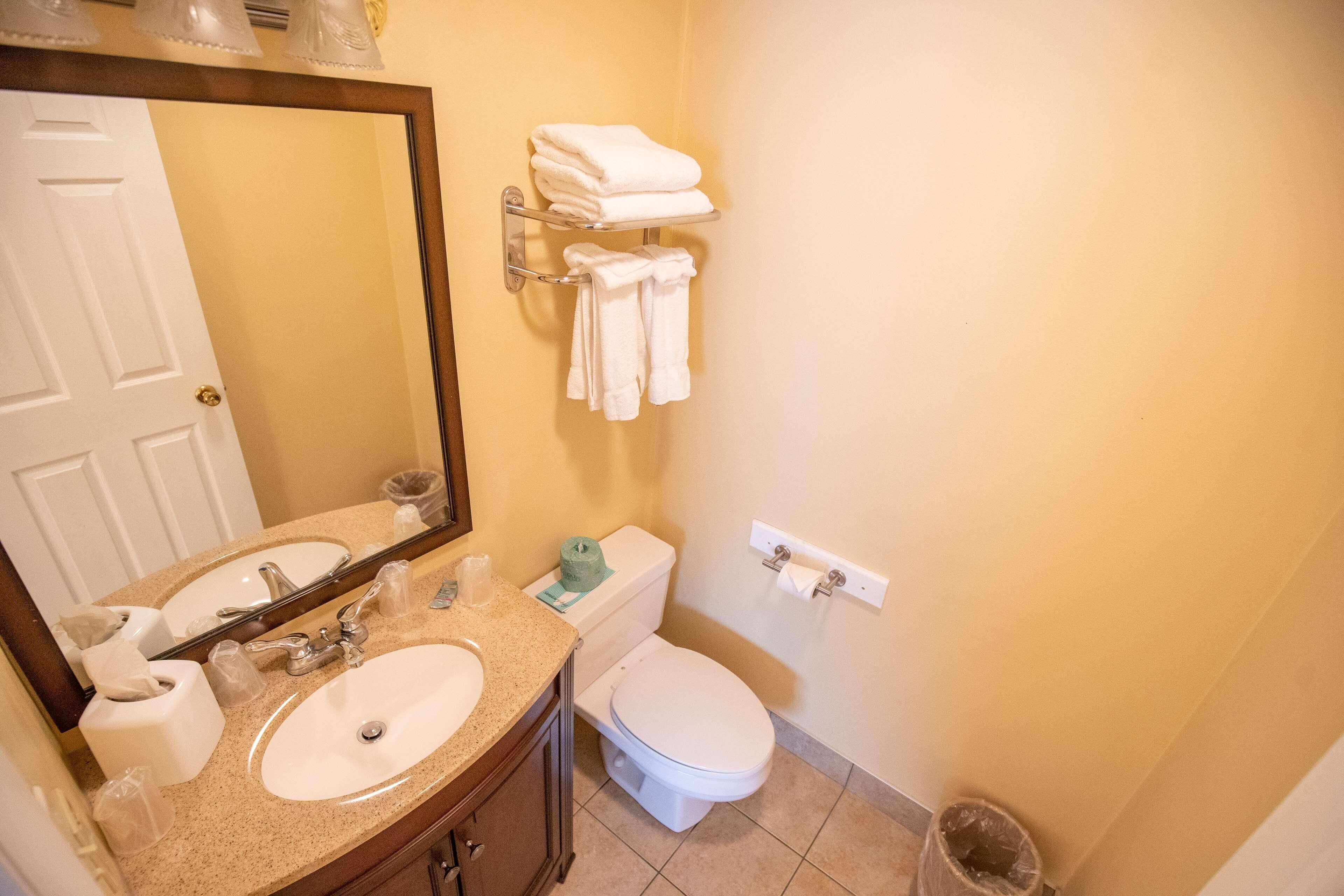 Un baño con lavamanos, espejo, inodoro y toallero.
