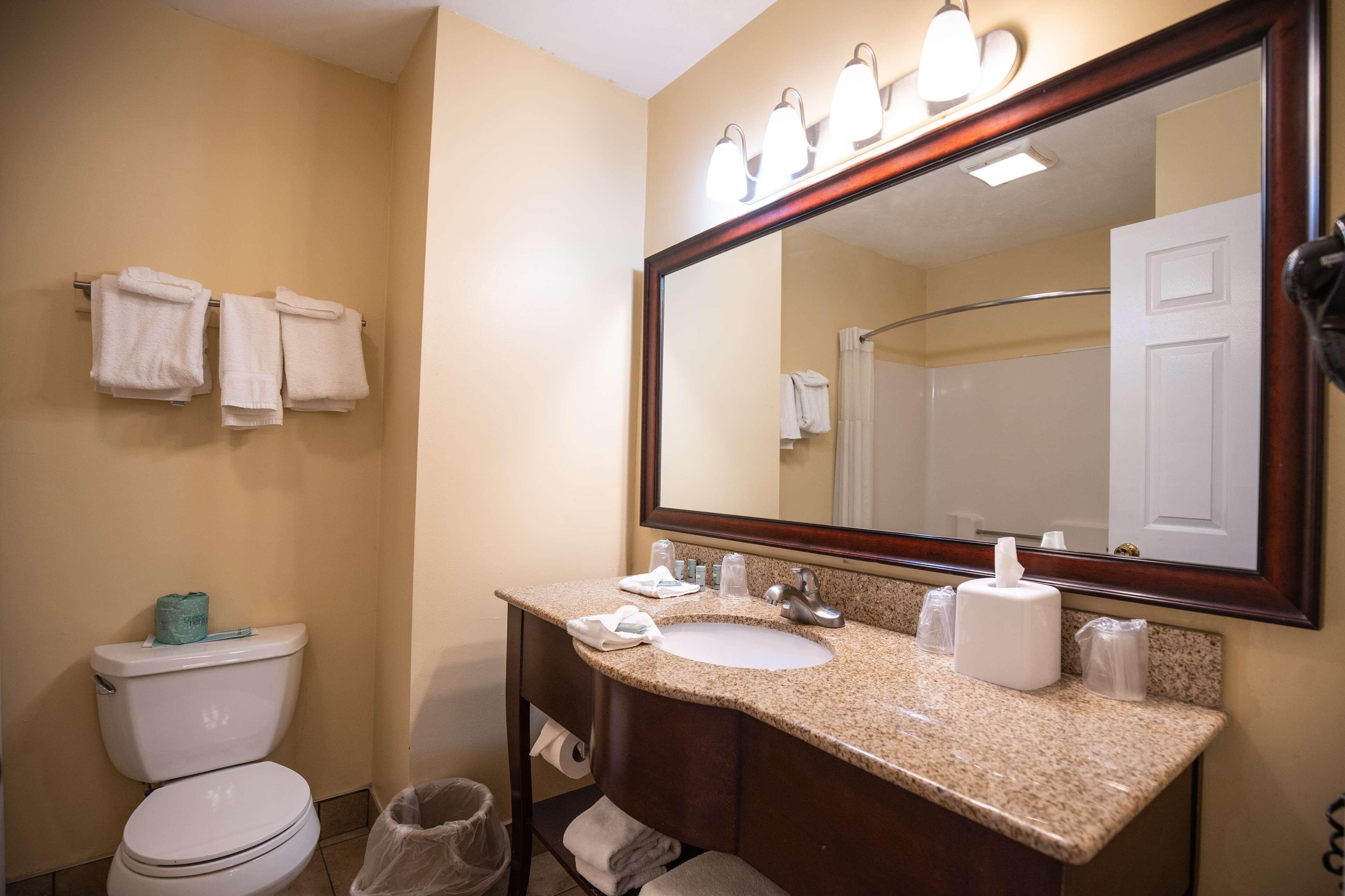 A bathroom with a sink, mirror, and toilet. There are towels hanging on the wall and a trash can.