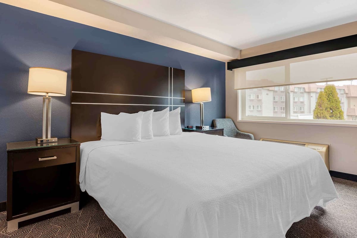 Une chambre d’hôtel avec un grand lit, deux tables de chevet avec des lampes, une table de nuit, une fenêtre donnant sur des immeubles et un sol recouvert de moquette.