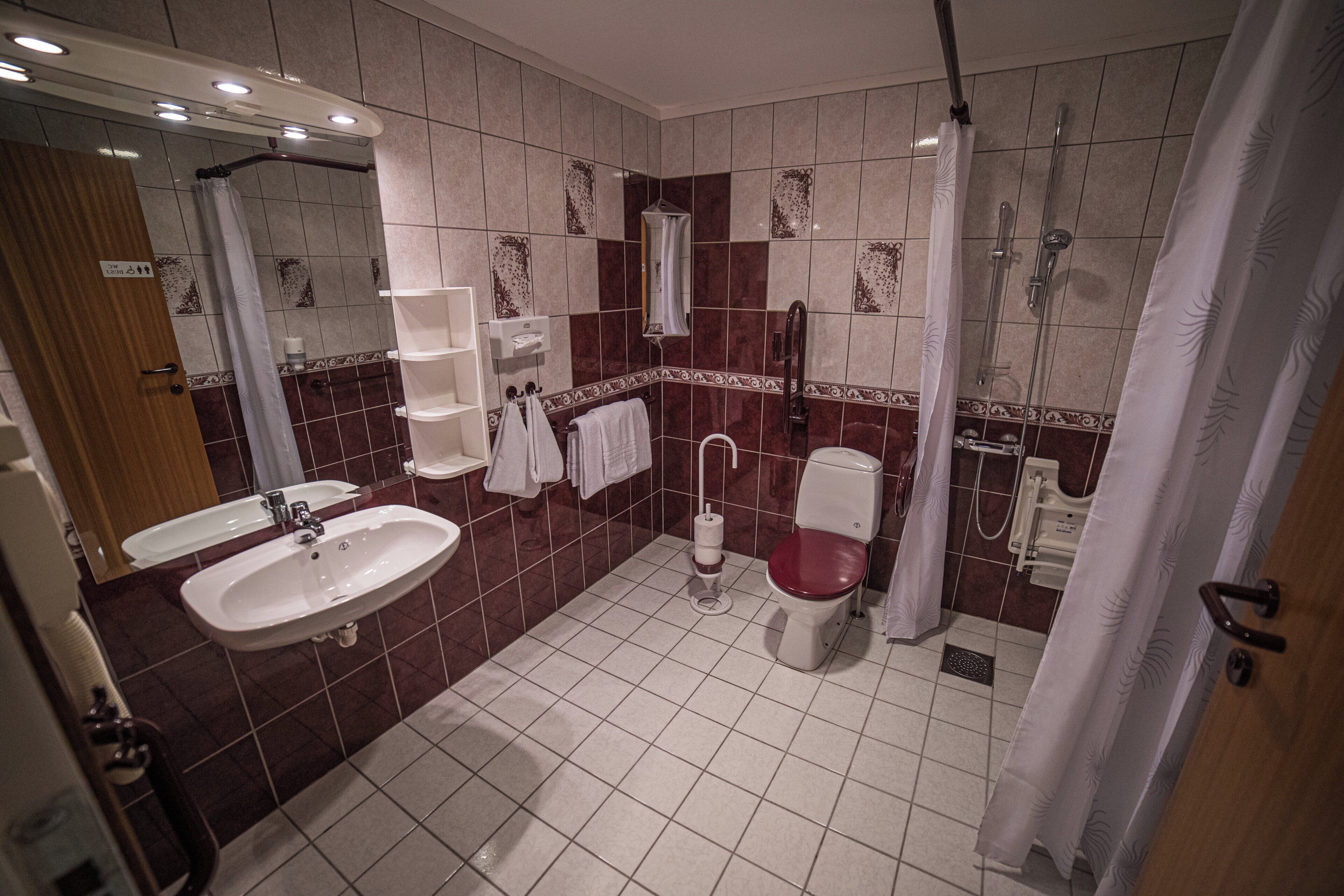 A bathroom with a sink, toilet, shower, and a mirror.
