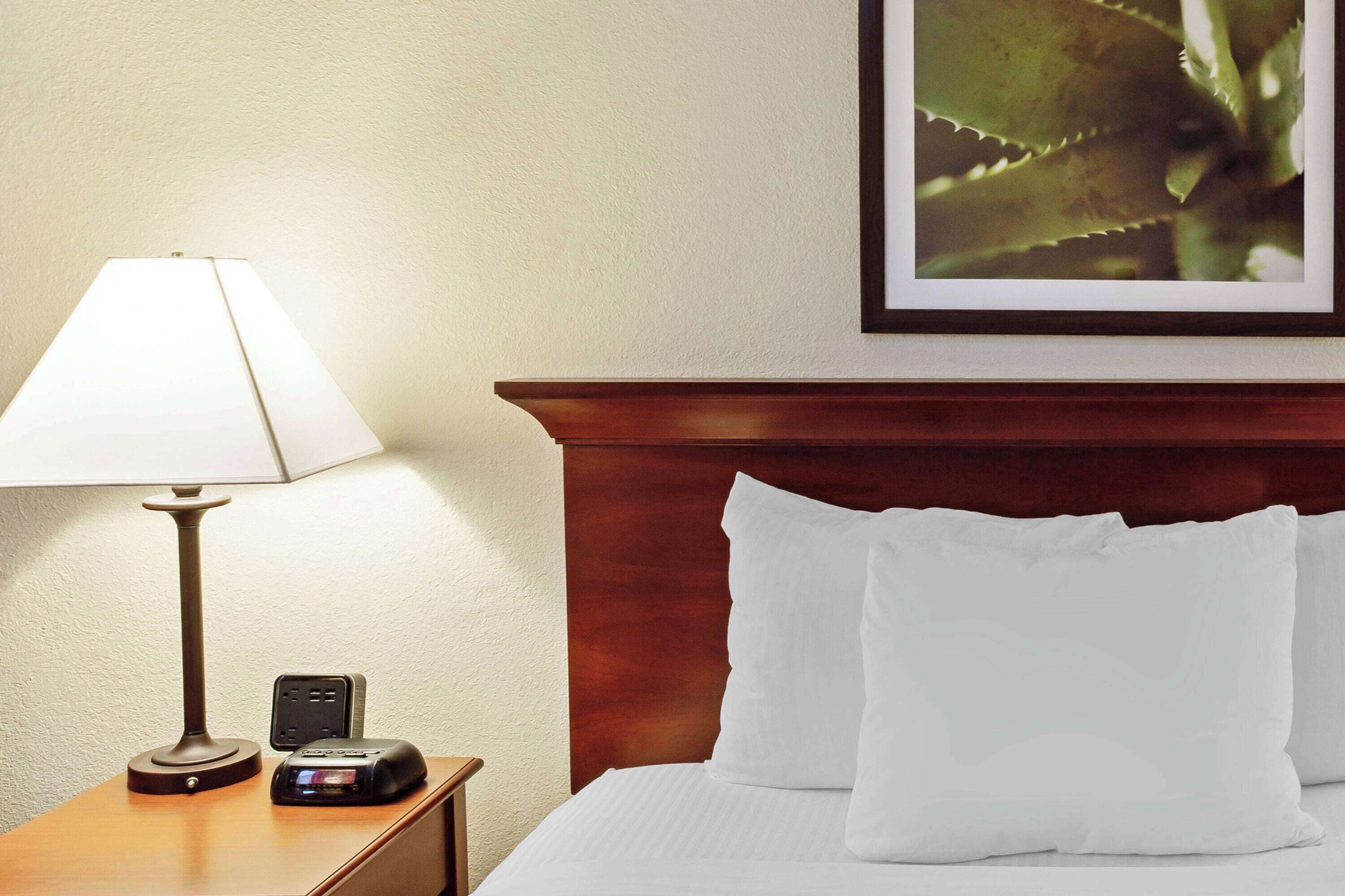 A neatly made bed with white pillows, a bedside table with a lamp, and a framed picture on the wall.