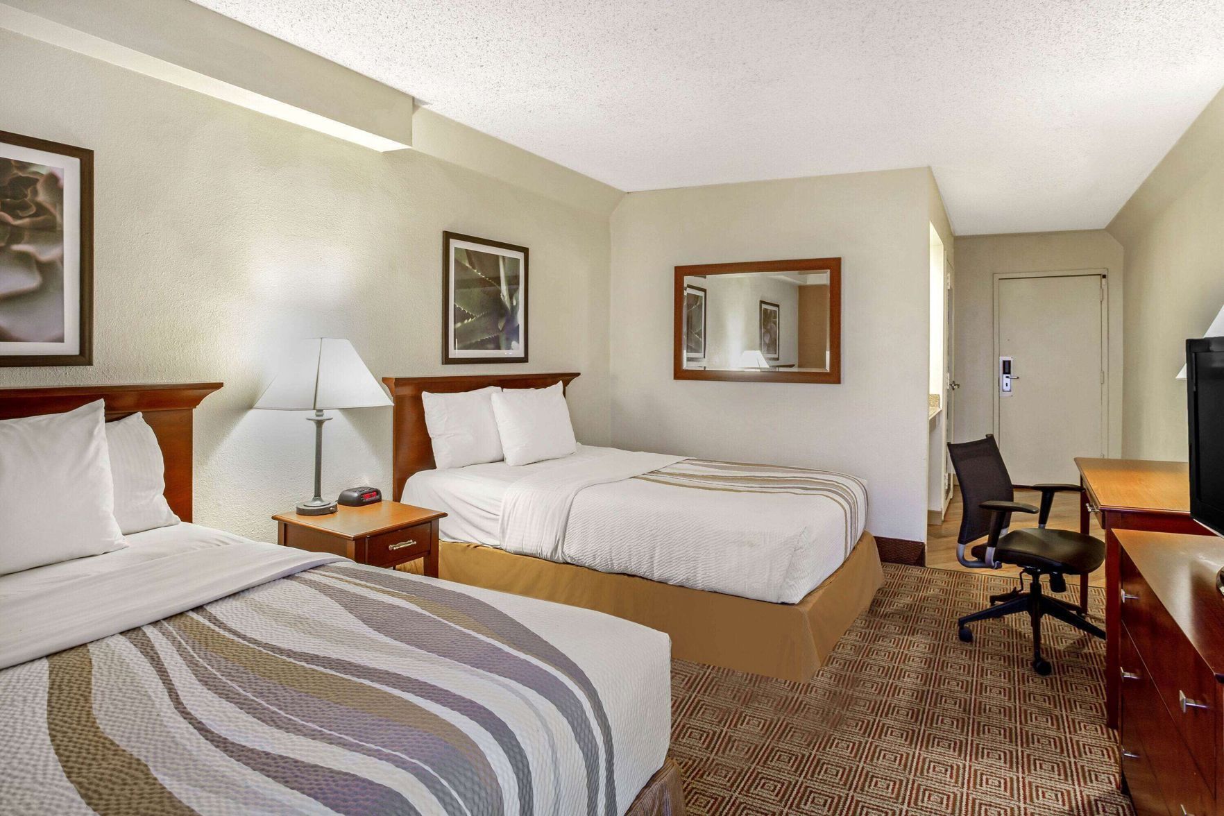 Premium bedding, desk, blackout curtains, iron/ironing board