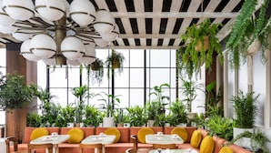 Un espace intérieur accueillant, avec des canapés confortables et des chaises en bois, agrémenté de plantes en pot et d’une grande fenêtre laissant entrer la lumière naturelle.