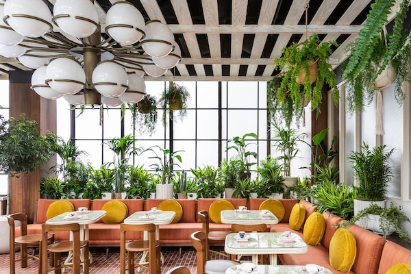 Mittagessen, Abendessen, Brunch, italienische Küche