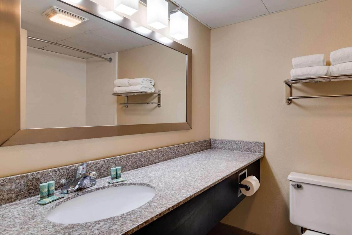 Une salle de bain avec un lavabo doté d’un plan de travail en granit, un miroir, un porte-serviettes et des toilettes.