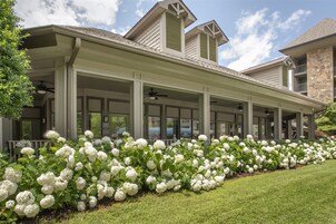 A covered porch with a stone facade, large windows, and a lawn with white flowers.