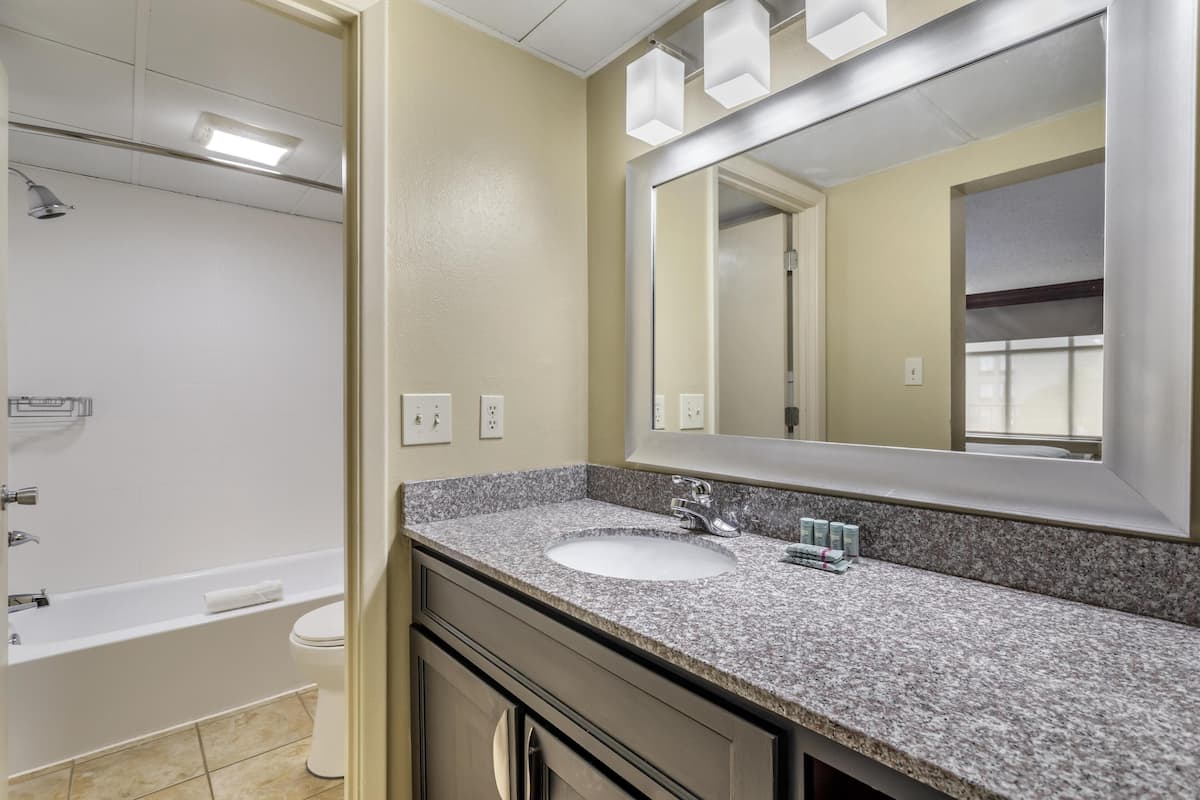 Combined shower/tub, free toiletries, hair dryer, towels