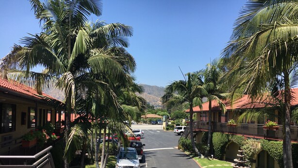 A street lined with palm trees and buildings with red-tiled roofs.
