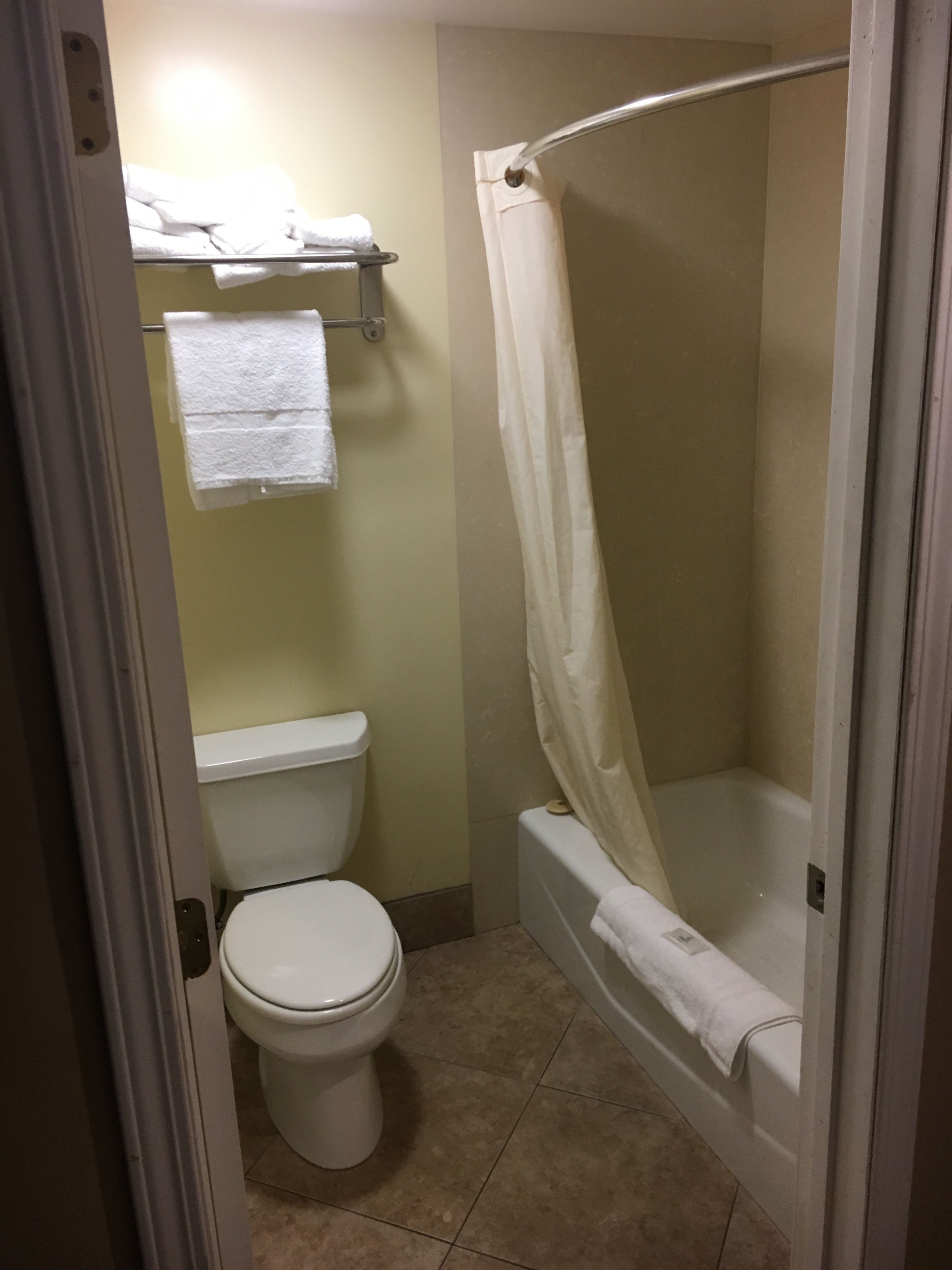 A bathroom with a toilet, a bathtub, and a shower curtain.