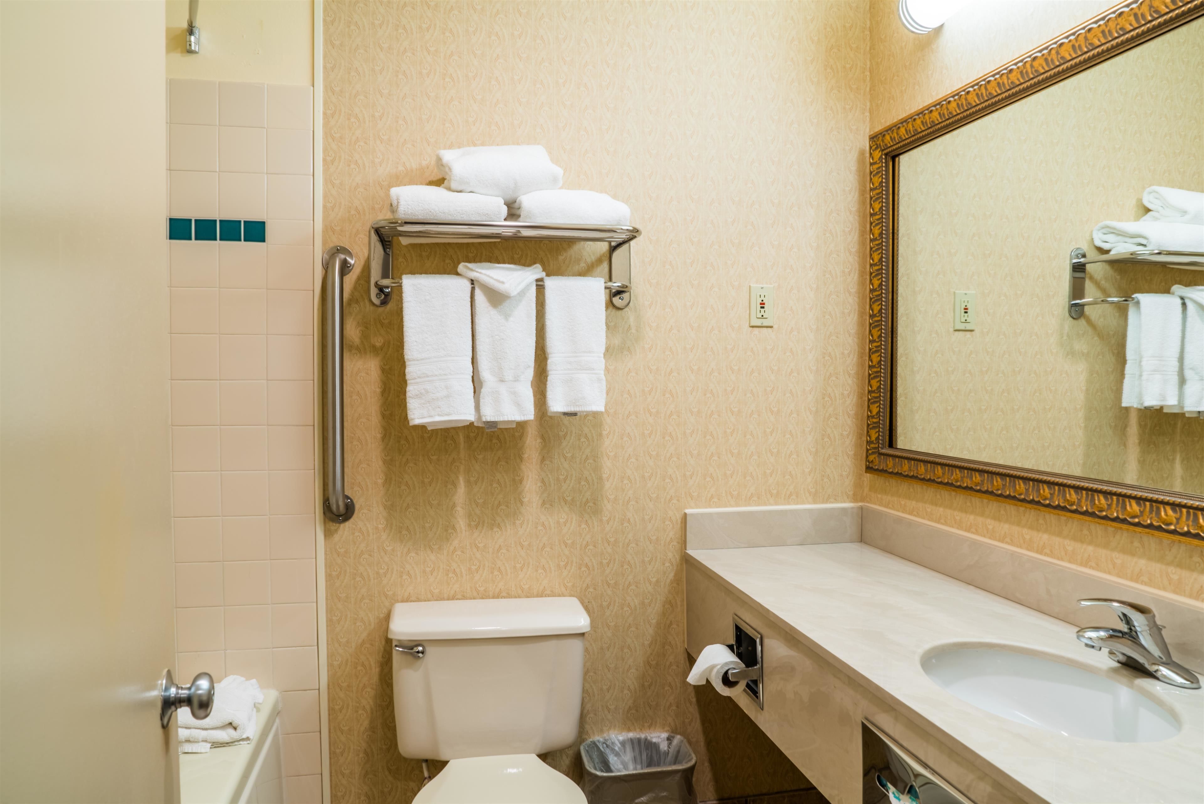 combined shower/bathtub, free toiletries, hair dryer, towels