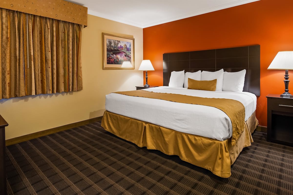A hotel room with a large bed, two bedside tables with lamps, a flat-screen TV, a painting on the wall, and a patterned carpet.