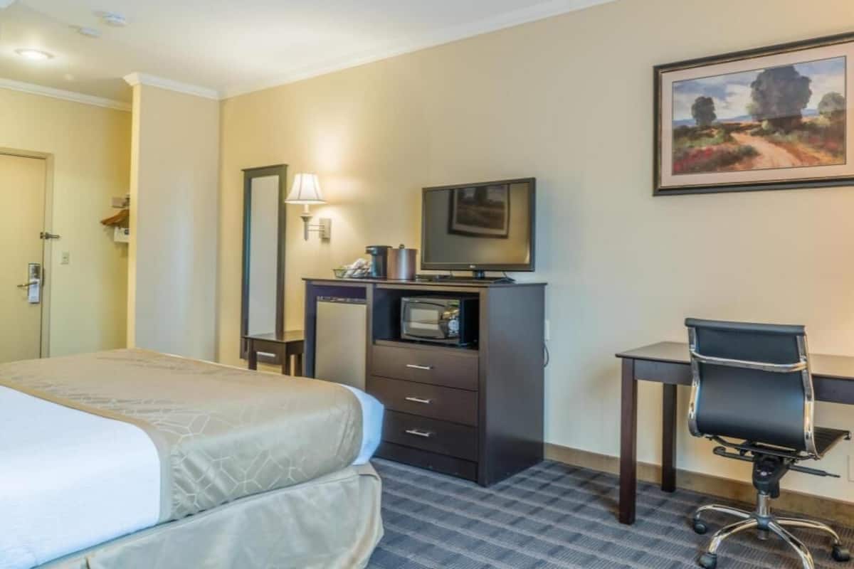 A hotel room with a bed, a desk with a chair, a television, a mirror, and a framed picture on the wall.