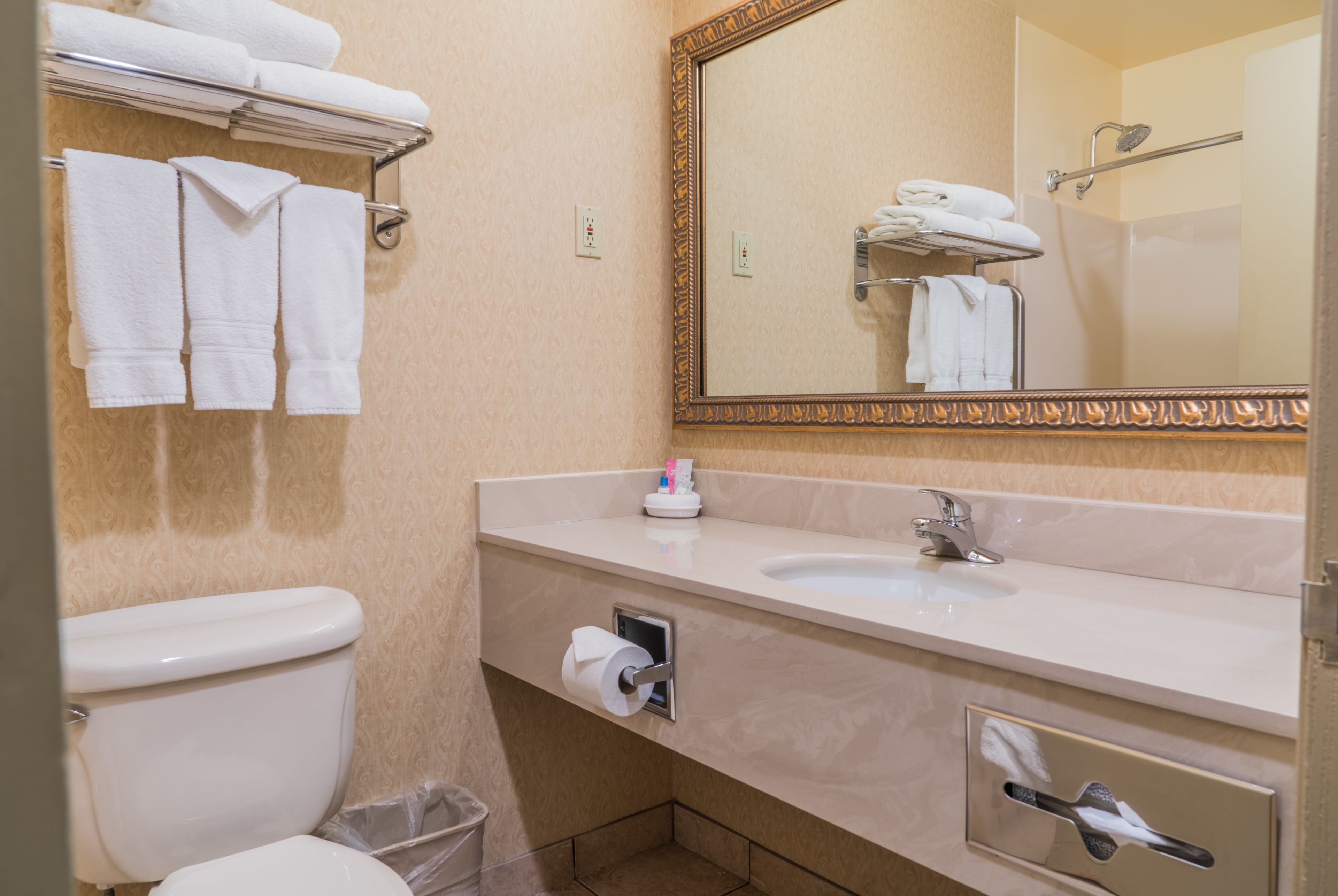 combined shower/bathtub, free toiletries, hair dryer, towels