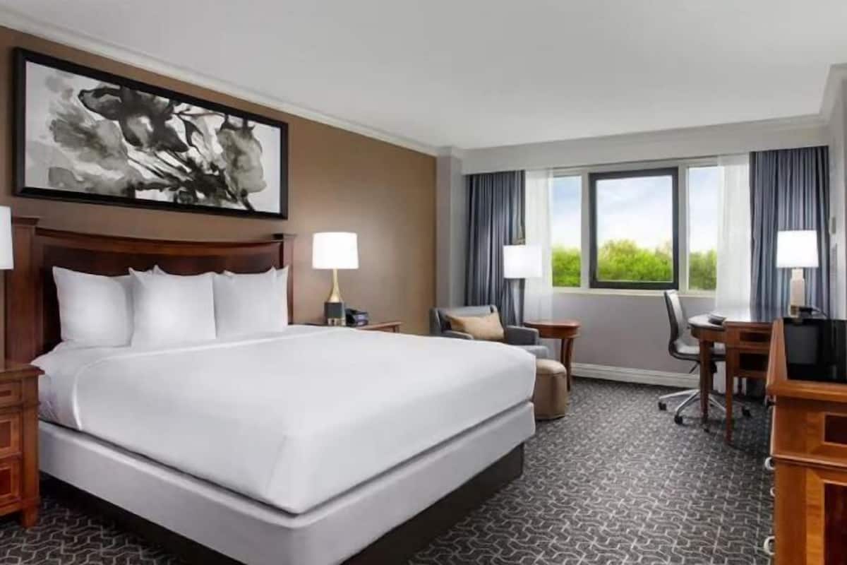 Premium bedding, down duvets, pillow-top beds, in-room safe