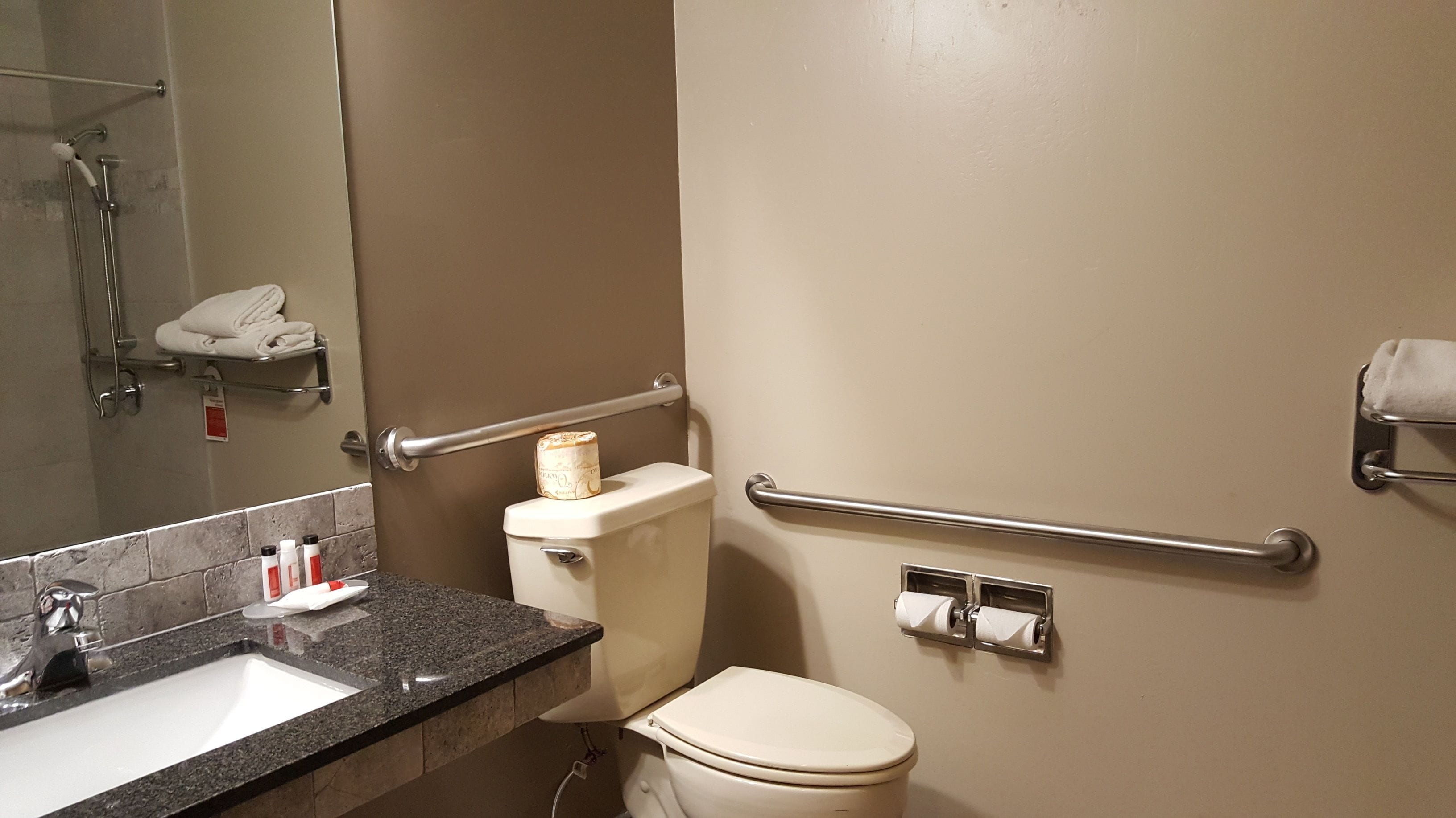 Une salle de bain équipée d’un lavabo, de toilettes et de barres d’appui.