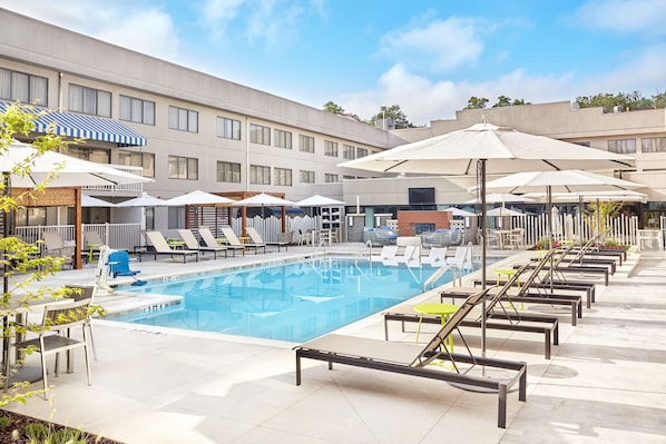 Outdoor pool, pool loungers