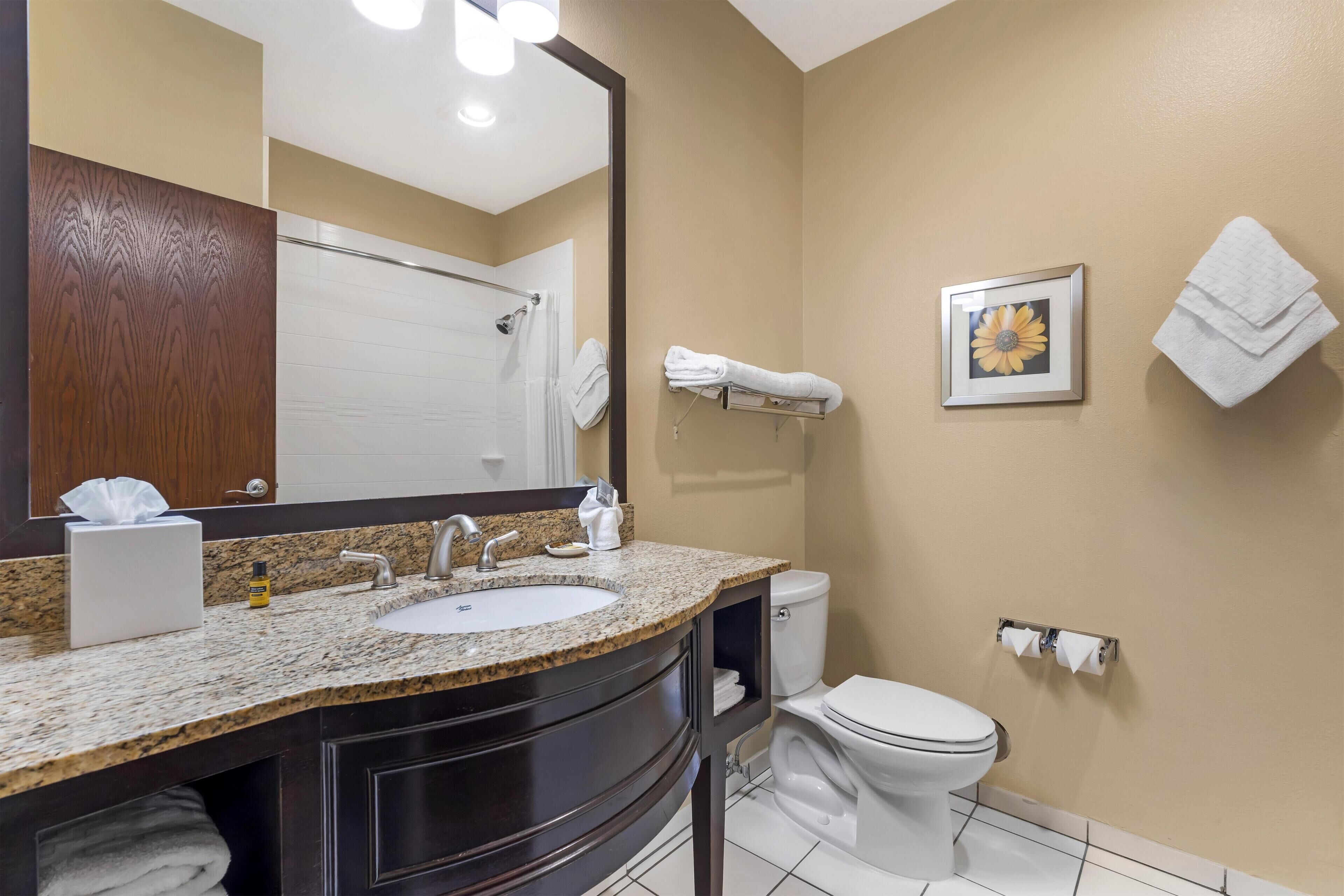 Une salle de bain avec un lavabo doté d’un plan de travail en granit, un miroir, des toilettes et un porte-serviettes.