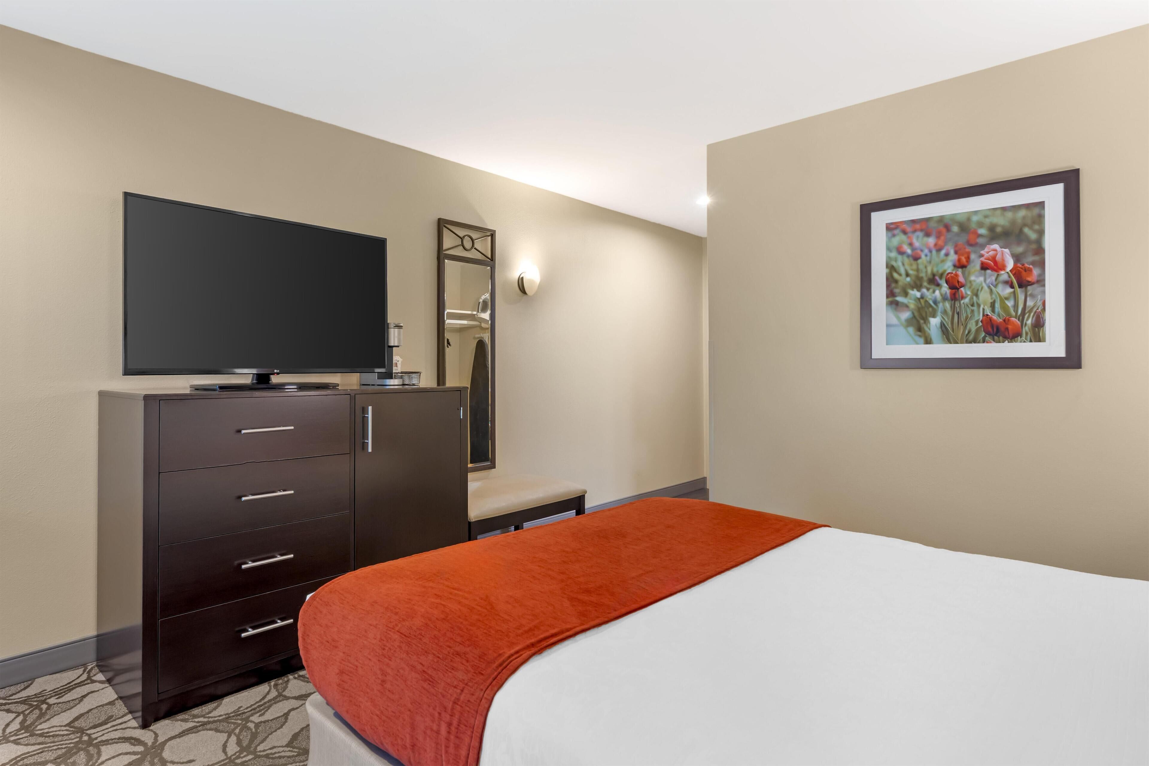 A hotel room with a bed, a dresser, a television, a mirror, and a framed picture on the wall.