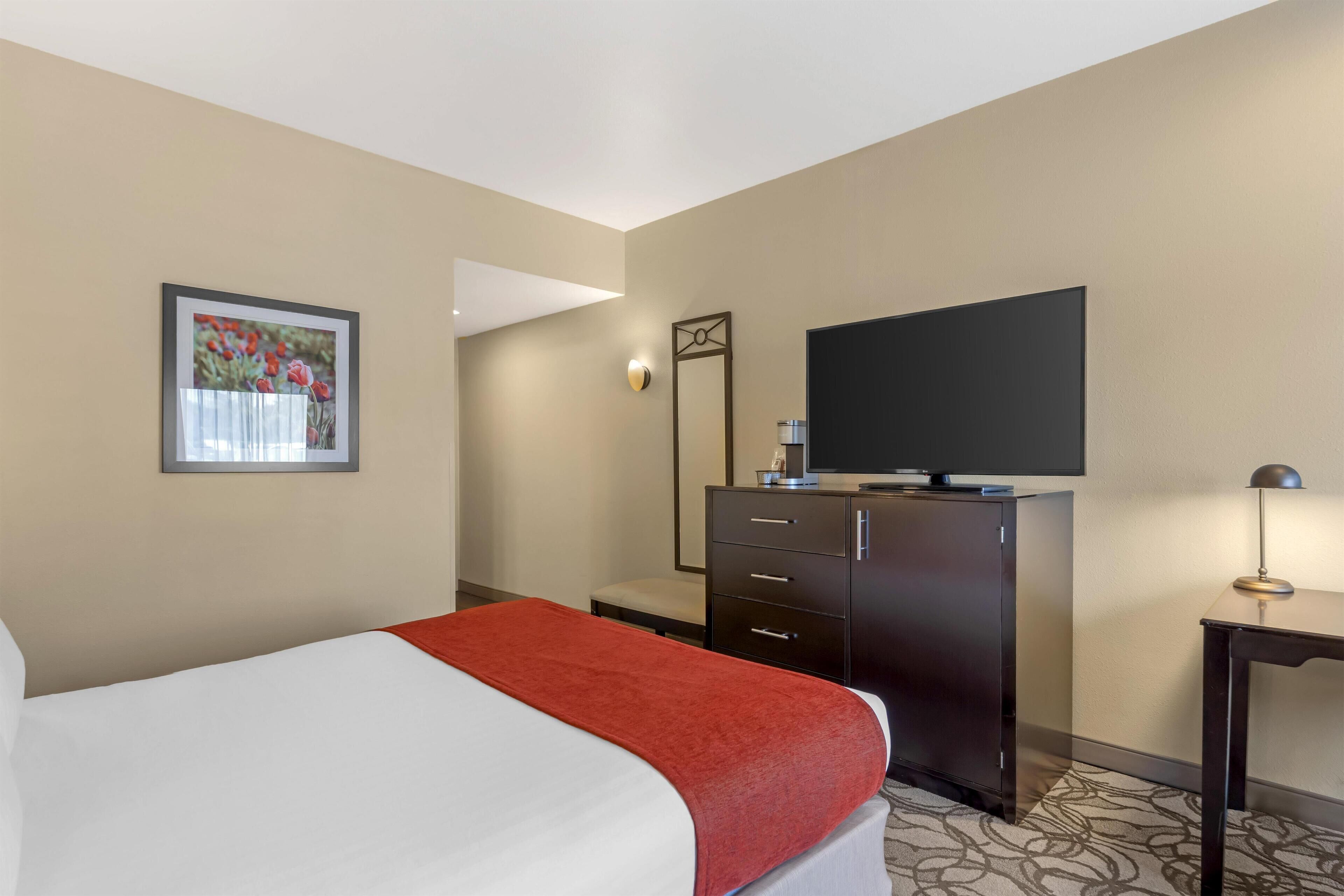Una habitación de hotel con cama, televisión, cómoda y un cuadro en la pared.