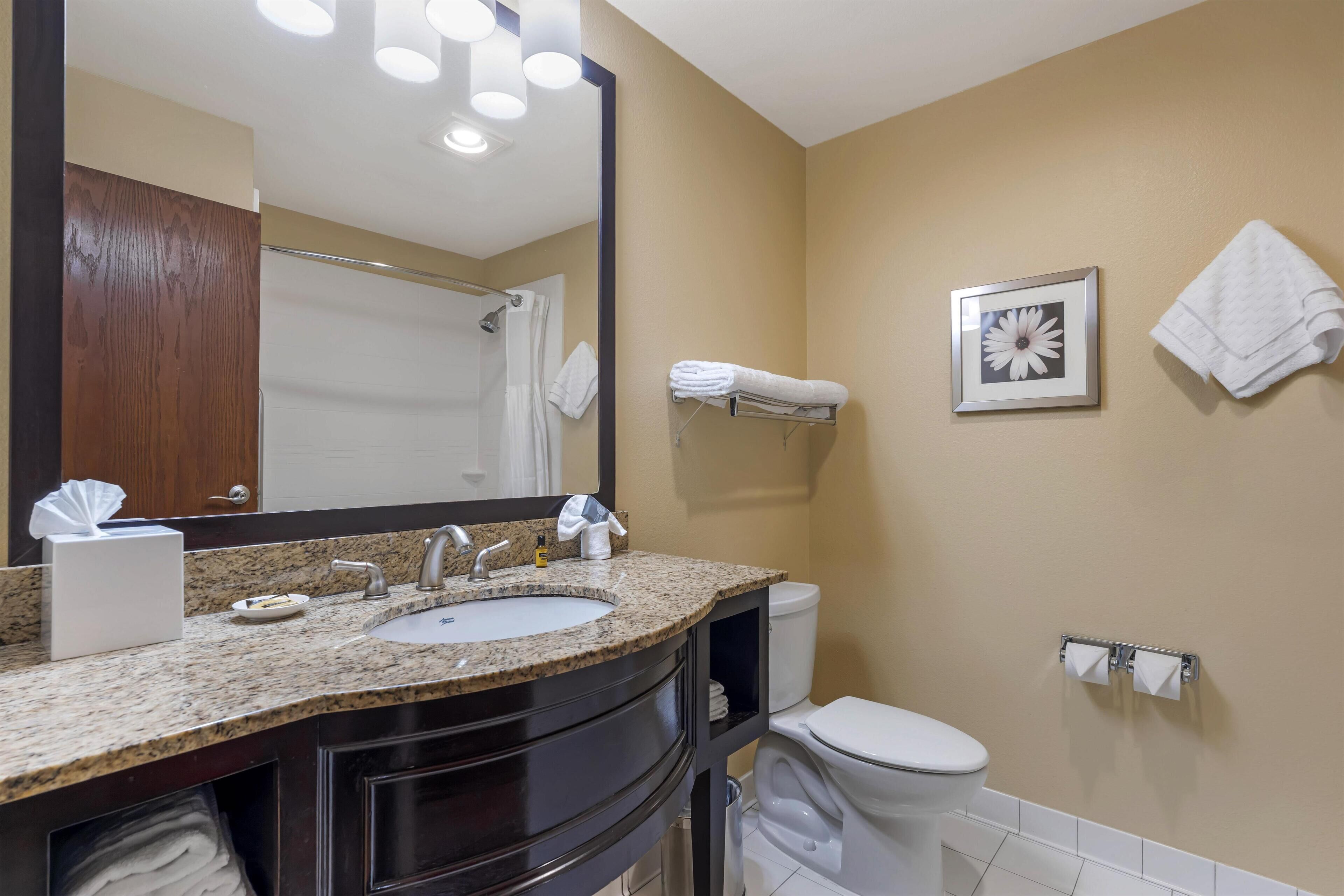 A bathroom with a sink, mirror, toilet, and towel rack.