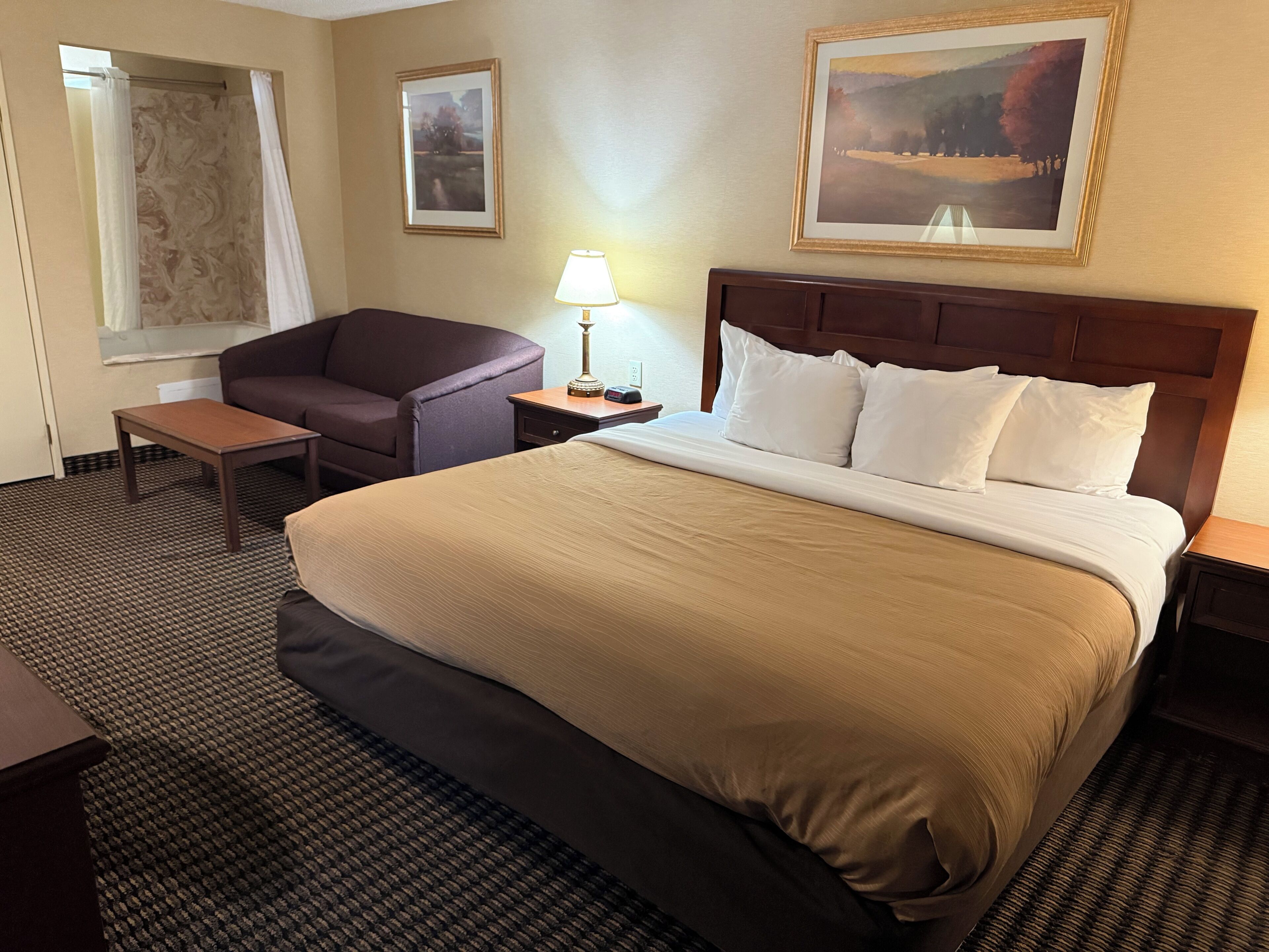 Iron/ironing board, free WiFi, bed sheets