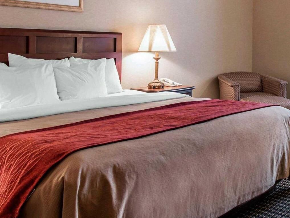 Geluiddichte muren, een strijkplank/strijkijzer, gratis wifi, beddengoed